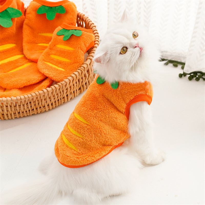 Pet Clothes Winter Warm Coats  - Winter Clothing For Toddlers ulasan dan harga