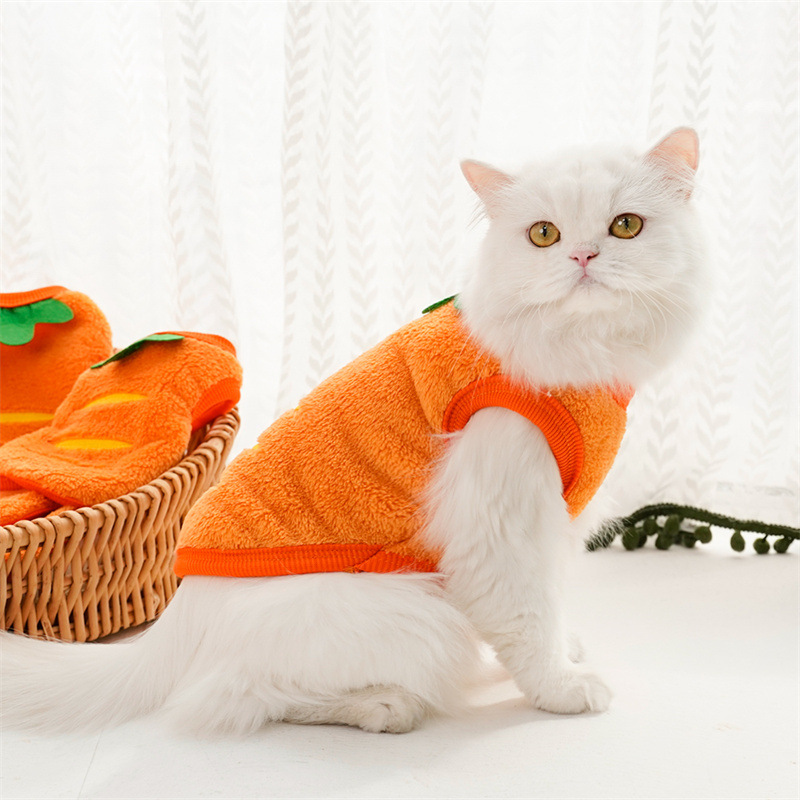 Pet Clothes Winter Warm Coats  - Winter Clothing For Toddlers ulasan dan harga