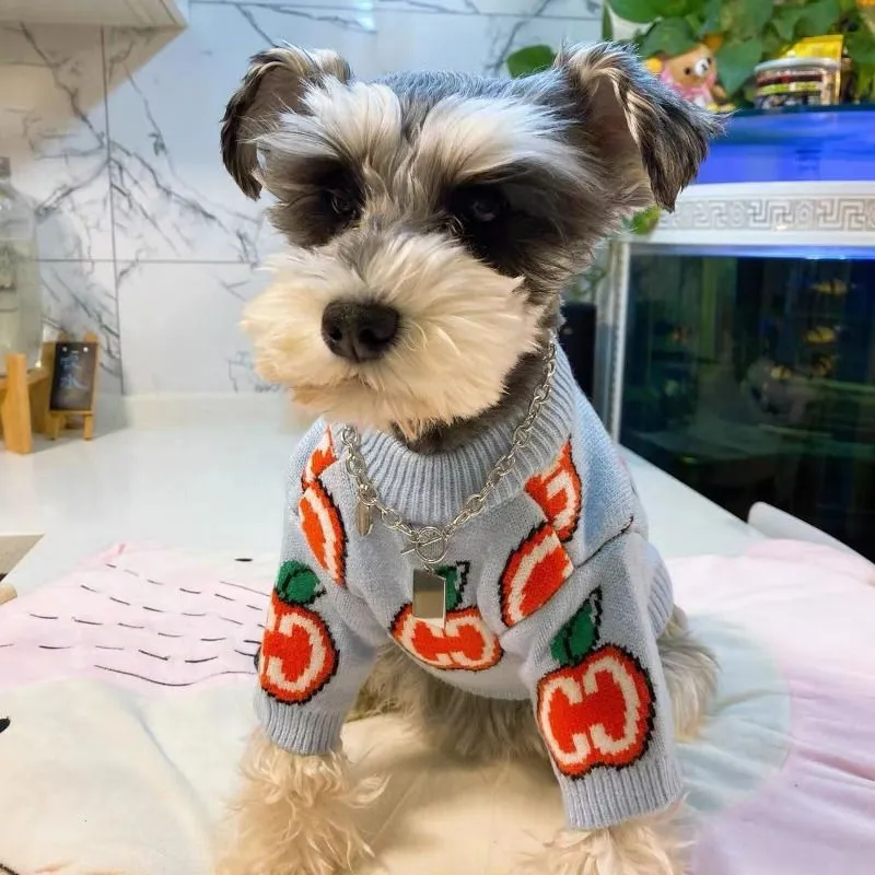 Letter Sweater Pet Dog Clothes - Winter Clothing For Toddlers ulasan dan harga