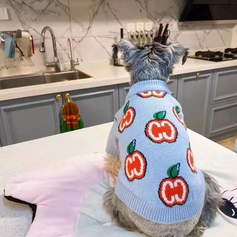 Letter Sweater Pet Dog Clothes - Winter Clothing For Toddlers ulasan dan harga